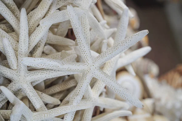 Pile of starfishes as a souvenir in a store in Greece