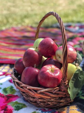 Olgun kırmızı elma Park'ta bir sepet içinde