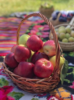 Olgun kırmızı elma Park'ta bir sepet içinde