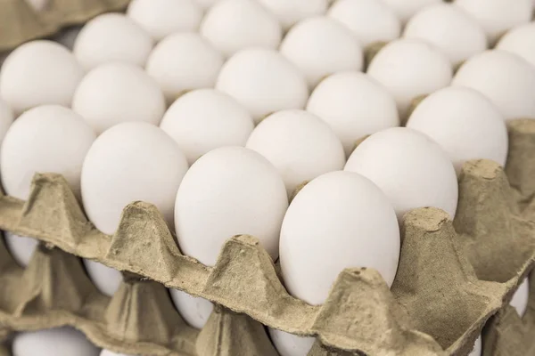 Raw white eggs in carton displays for sale in a food market