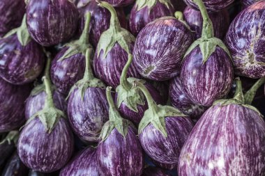 Patlıcan yığını / patlıcan bir arka plan olarak