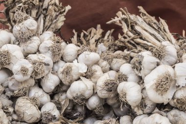 sarımsak bir arka plan olarak closeup yığını