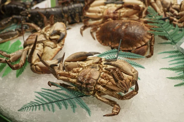 raw crabs on ice at a market in Spain