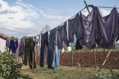 Yaz aylarında bahçe kuru için kıyafet astı