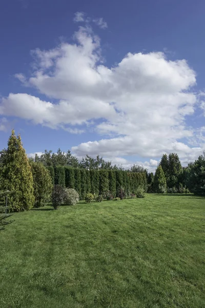 garden surrounded with trees under beautiful sky in summer