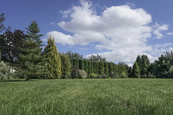 Yaz aylarında güzel gökyüzü altında ağaçları ile çevrili bahçe