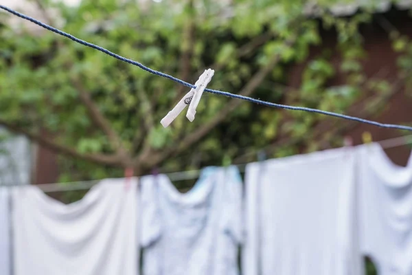 hanged clothes at garden in order to dry