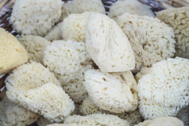 Doğal deniz süngerleri yığını bir arka plan olarak