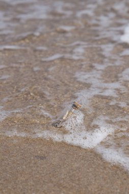 kumlu bir plaj üzerinde küçük bir şişe içinde mesaj