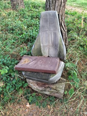 Orman, eski bir araba koltuğu