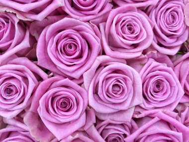 Güllü çiçekli bir arka plan