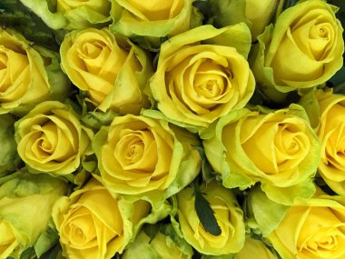 Güllü çiçekli bir arka plan