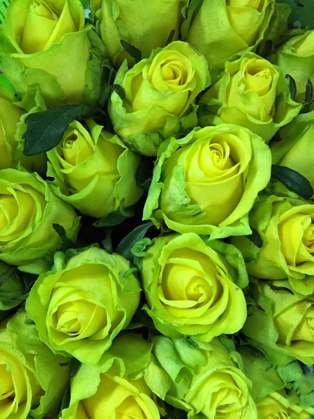 Güllü çiçekli bir arka plan