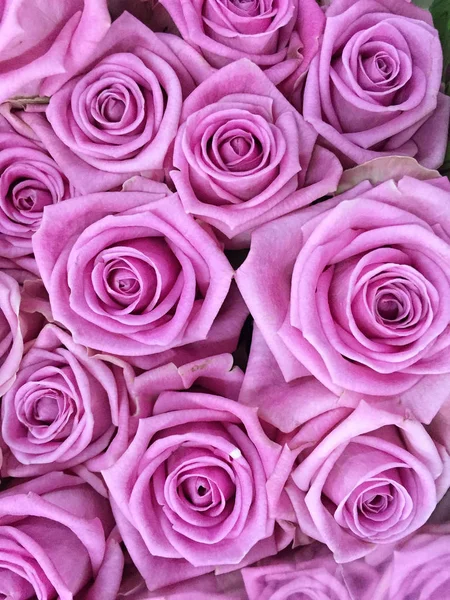 Güllü çiçekli bir arka plan