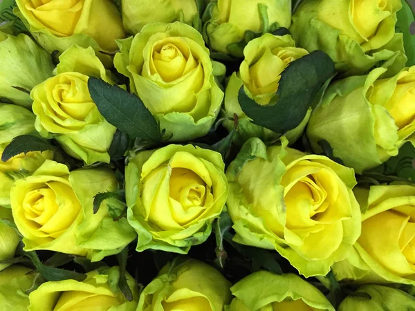 Güllü çiçekli bir arka plan