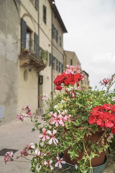 Coloridas Flores Primavera Contra Edificios Toscana Italia — Foto de Stock