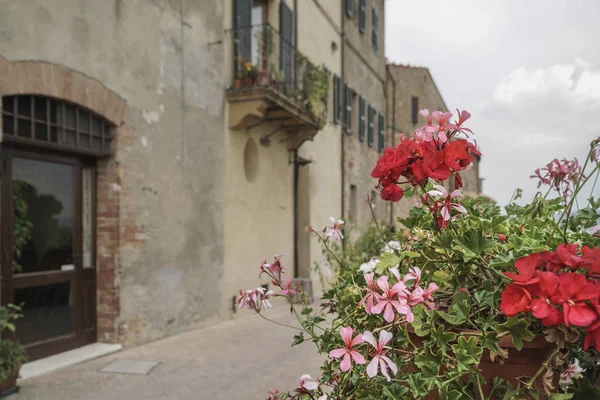 Coloridas Flores Primavera Contra Edificios Toscana Italia — Foto de Stock