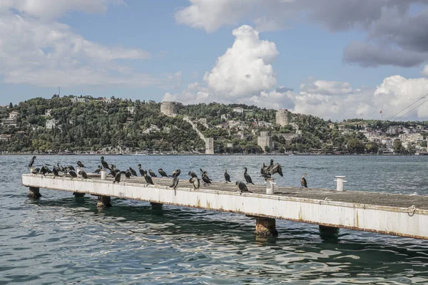 Benteng Rumeli di Istanbul, Turki — Stok Foto
