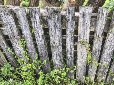 Arka plan olarak bir yaşlı ahşap çit