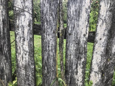 Arka plan olarak bir yaşlı ahşap çit