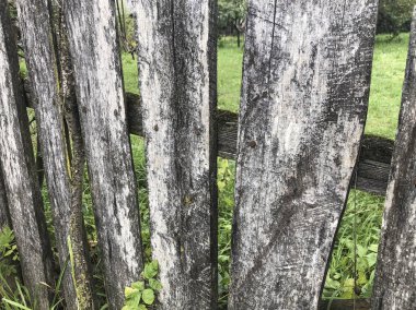 Arka plan olarak bir yaşlı ahşap çit