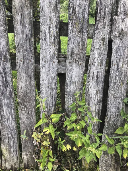 Une Clôture Bois Vieilli Comme Fond — Photo