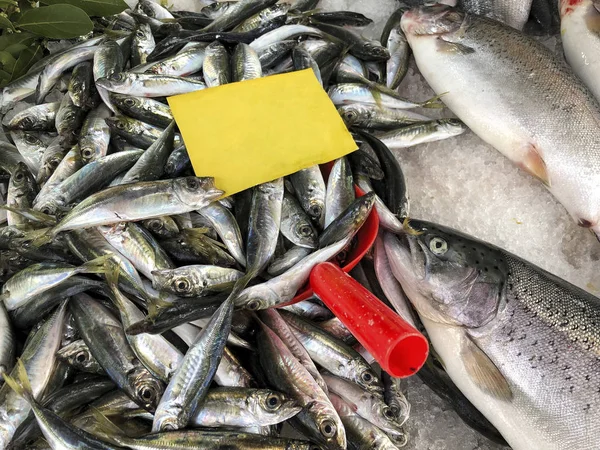 Ruwe Horsmakreel Vissen Markt Met Een Lege Label Hen — Stockfoto