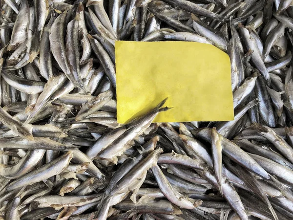 Ruwe Ansjovis Vissen Markt Met Etiket — Stockfoto