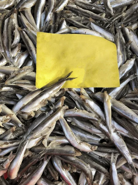 Ruwe Ansjovis Vissen Markt Met Een Lege Etiket — Stockfoto