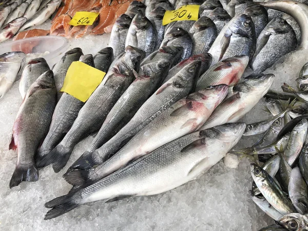 Variety Raw Fishes Market Price Labels Them — Stock Photo, Image