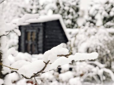 Şube ve kışın kar altında ahşap kulübe
