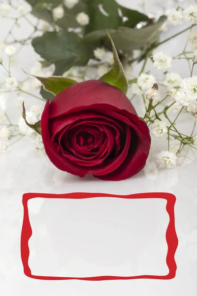 赤いバラと白の挨拶のためのフレーム — ストック写真