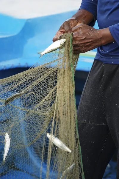 closeup male hand picking fishes on net