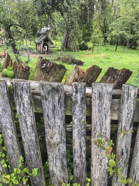 Старі дерев'яні паркани саду навесні — стокове фото