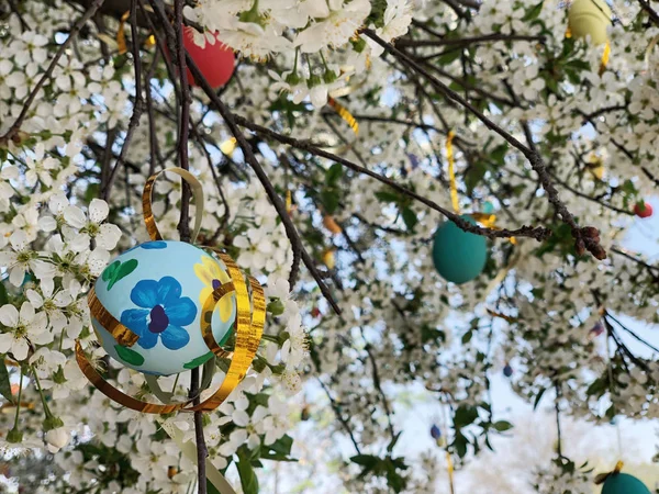 Красочные пасхальные яйца, повешенные на дереве — стоковое фото