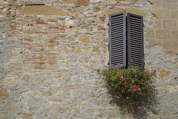 Blumen vor einem Fenster mit Holzjalousien — Stockfoto