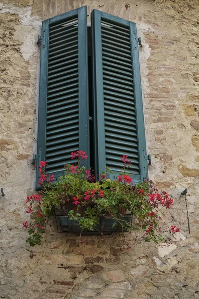 Цветы перед окном с деревянными жалюзи — стоковое фото
