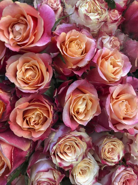 Fondo floral con rosas de colores — Foto de Stock