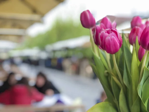 pink tulip flowers against an open air cafe