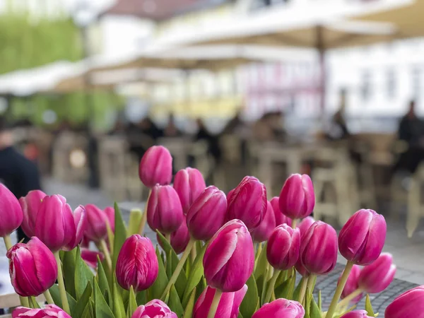 pink tulip flowers against an open air cafe