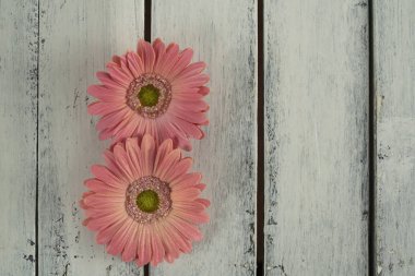 Kadınlar günü şablonu tahtadaki sekiz numara gibi papatya çiçekleri ile.