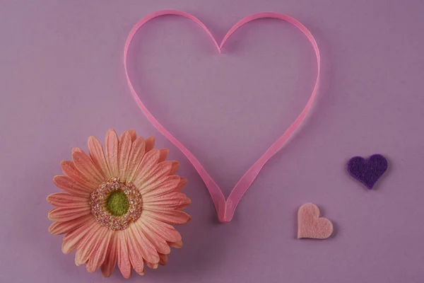 Corazón de cinta rosa y margarita gerberas sobre fondo púrpura — Foto de Stock