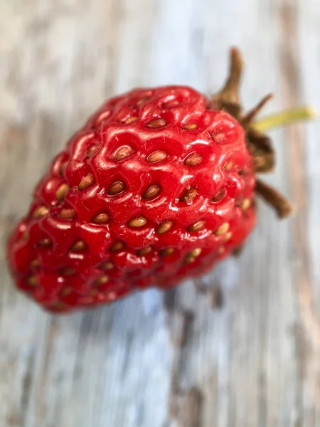 Close-up de um morango vermelho maduro — Fotografia de Stock