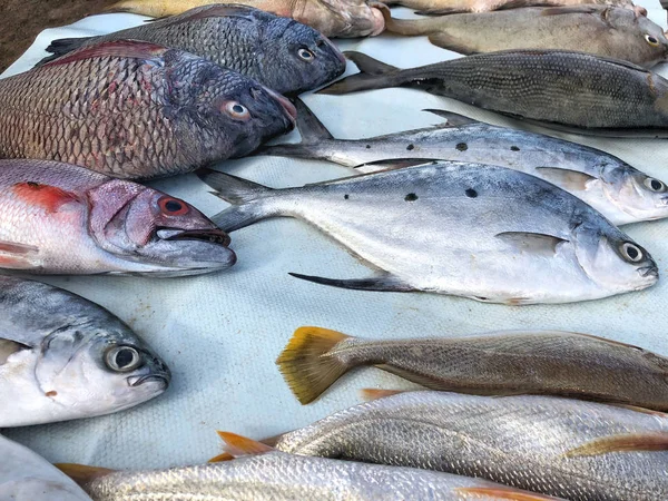 Verscheidenheid aan vissen op Fish Market — Stockfoto
