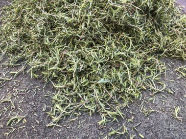 taze limon kekik yığını