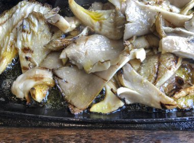 pişmiş istiridye mantar tabakta servis