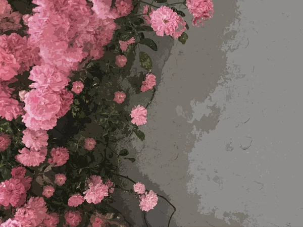 wallpaper with pink roses over gray background