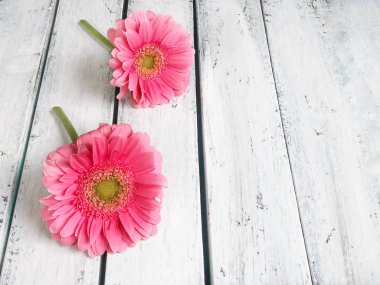 ahşap arka plan üzerinde pembe gerbera papatya çiçekler