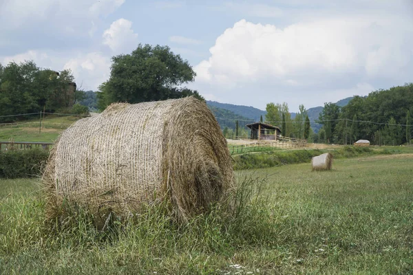 Balas redondas de paja en un campo en Toscana, Italia —  Fotos de Stock