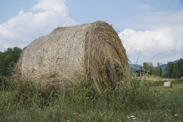 Balas redondas de paja en un campo en Toscana, Italia —  Fotos de Stock